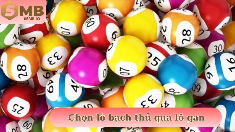 Chọn lô bạch thủ qua lô gan được nhiều cao thủ gạo rồi áp dụng