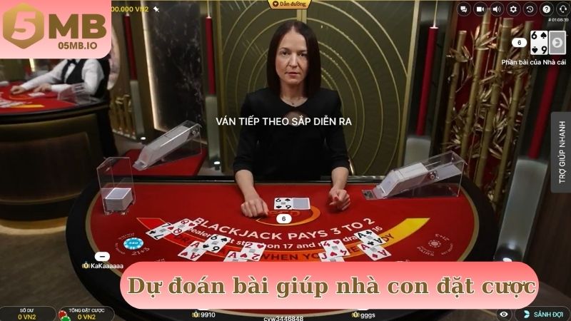 Dự đoán bài nhà cái giúp nhà con dễ dàng đặt cược