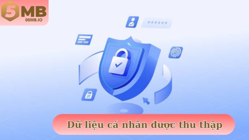 Dữ liệu cá nhân được thu thập
