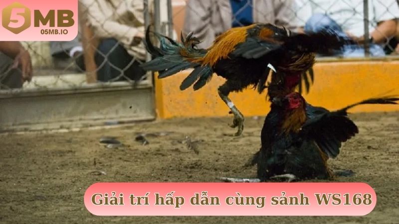 Giải trí hấp dẫn cùng sảnh WS168 xanh chín