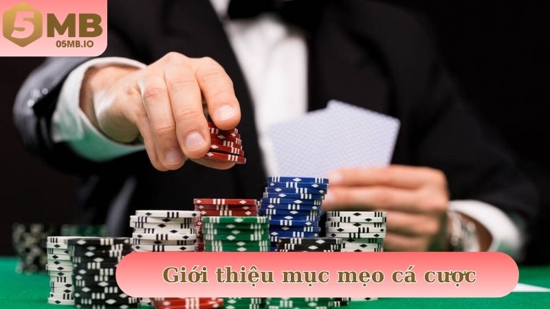 Giới thiệu chuyên mục mẹo cá cược tại nhà cái 5MB