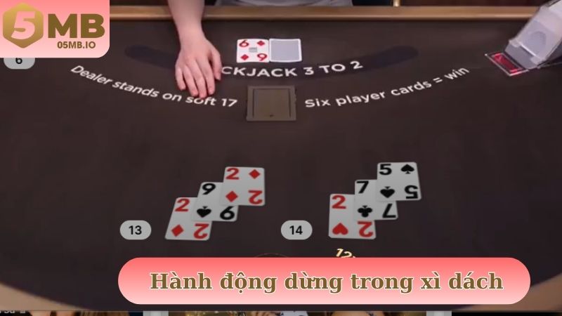 Hành động dừng trong xì dách khi có bài đẹp